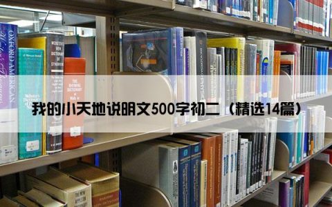 我的小天地说明文500字初二（精选14篇）