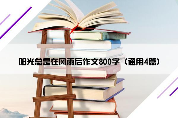 阳光总是在风雨后作文800字（通用4篇）