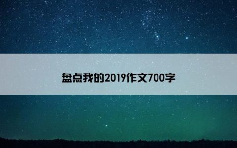 盘点我的2019作文700字