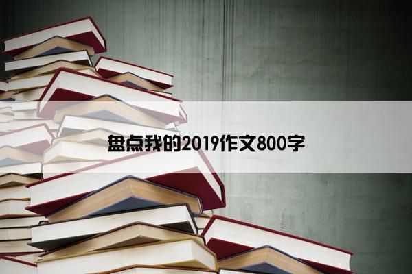 盘点我的2019作文800字