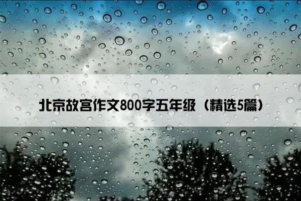 北京故宫作文800字五年级（精选5篇）