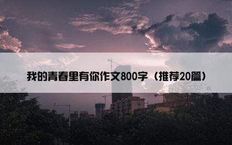 我的青春里有你作文800字（推荐20篇）