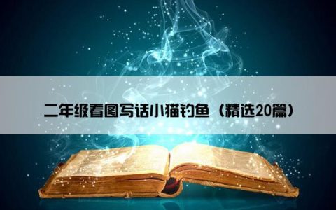 二年级看图写话小猫钓鱼（精选20篇）