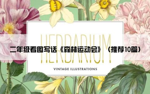 二年级看图写话《森林运动会》（推荐10篇）