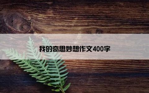 我的奇思妙想作文400字
