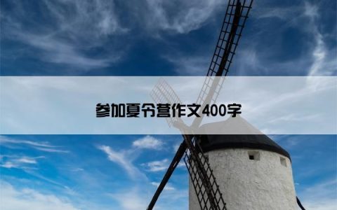 参加夏令营作文400字
