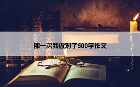 那一次我做对了500字作文