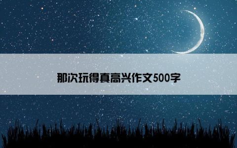 那次玩得真高兴作文500字