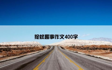 捉蚊趣事作文400字