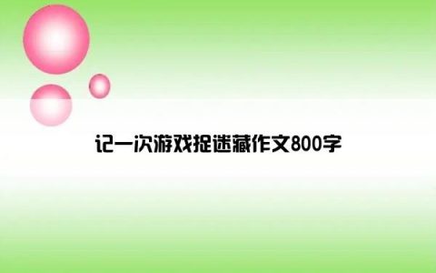 记一次游戏捉迷藏作文800字