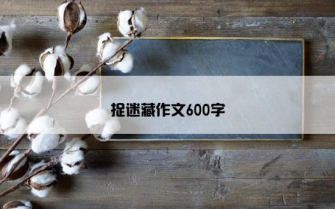 捉迷藏作文600字