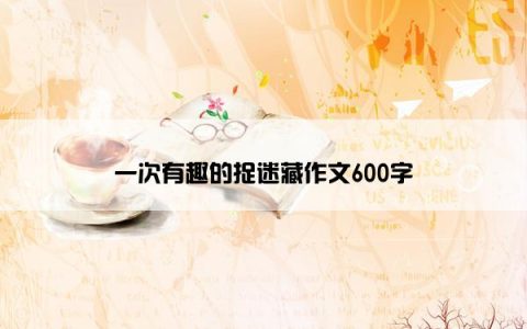 一次有趣的捉迷藏作文600字