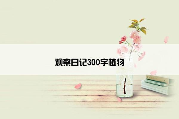 观察日记300字植物