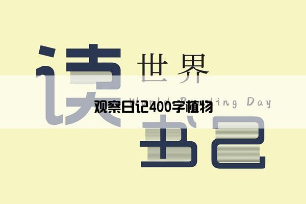 观察日记400字植物