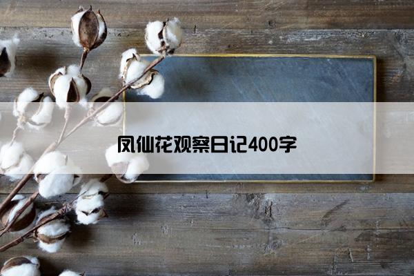 凤仙花观察日记400字