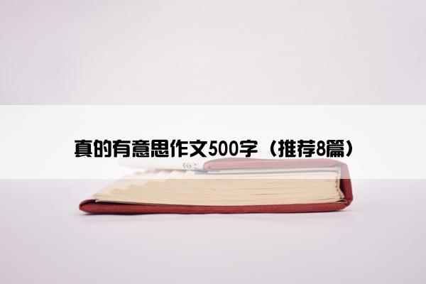 真的有意思作文500字（推荐8篇）