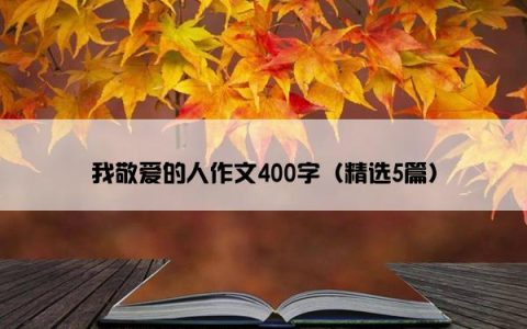 我敬爱的人作文400字（精选5篇）