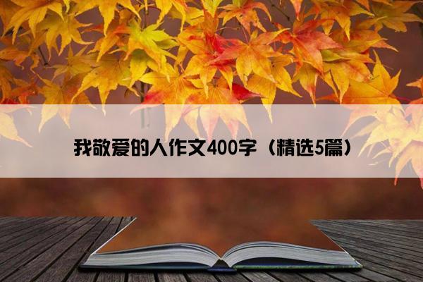 我敬爱的人作文400字（精选5篇）