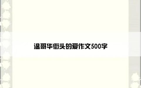 温哥华街头的爱作文500字
