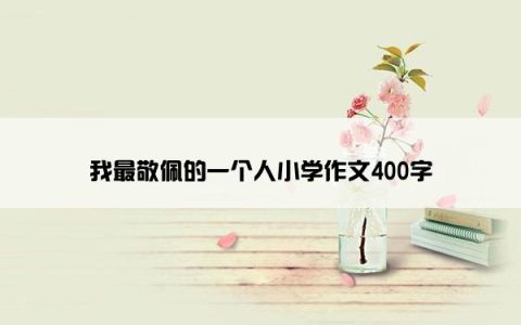 我最敬佩的一个人小学作文400字