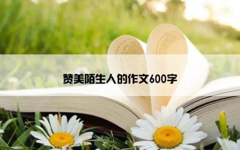 赞美陌生人的作文600字