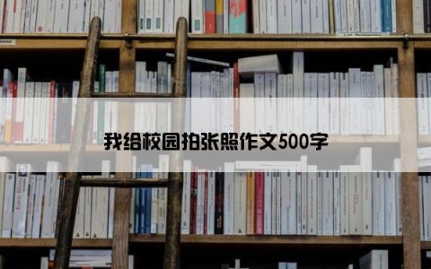 我给校园拍张照作文500字