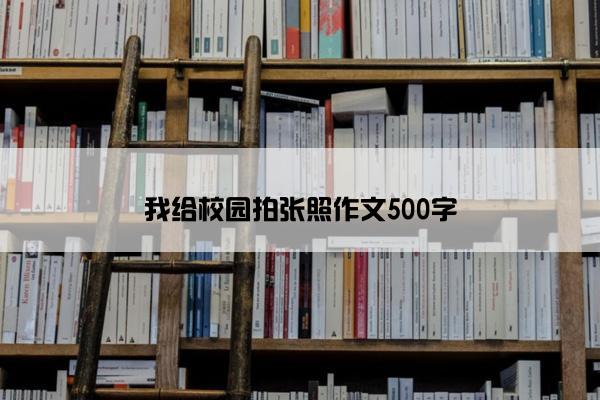 我给校园拍张照作文500字