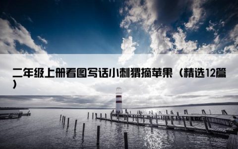 二年级上册看图写话小刺猬摘苹果（精选12篇）