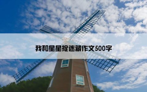 我和星星捉迷藏作文500字