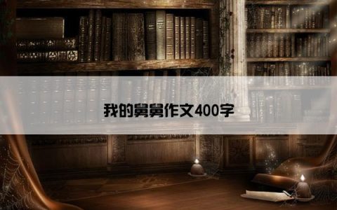 我的舅舅作文400字