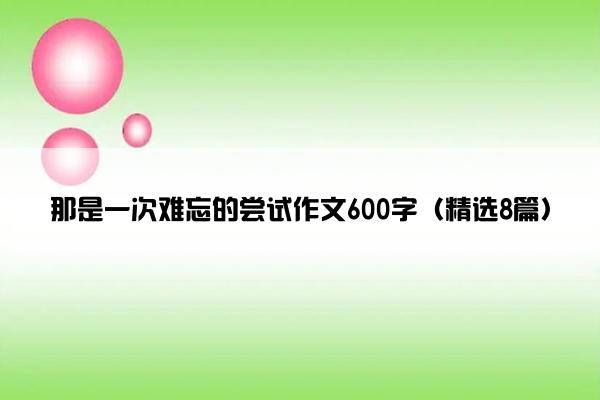 那是一次难忘的尝试作文600字（精选8篇）