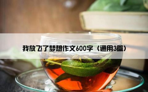 我放飞了梦想作文600字（通用3篇）