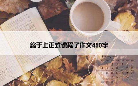 终于上正式课程了作文450字