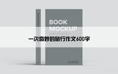 一次奇妙的旅行作文600字