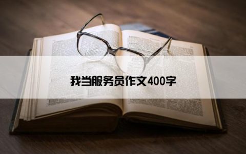 我当服务员作文400字