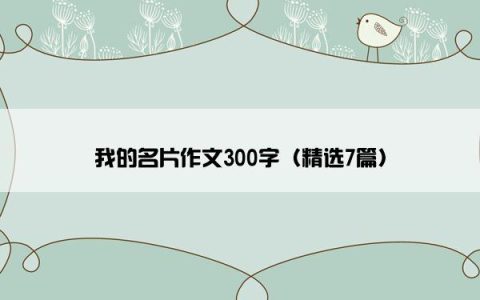 我的名片作文300字（精选7篇）