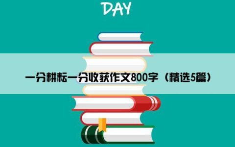 一分耕耘一分收获作文800字（精选5篇）