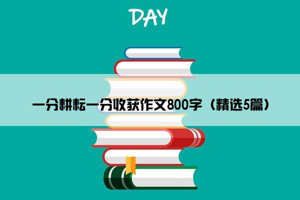 一分耕耘一分收获作文800字（精选5篇）