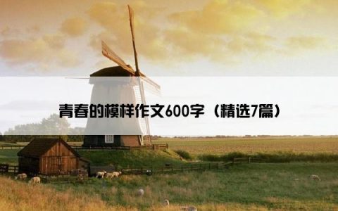 青春的模样作文600字（精选7篇）