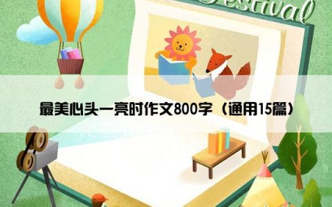 最美心头一亮时作文800字（通用15篇）