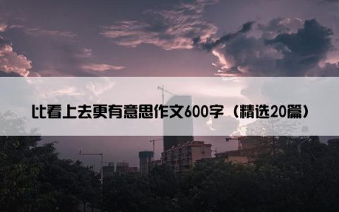 比看上去更有意思作文600字（精选20篇）