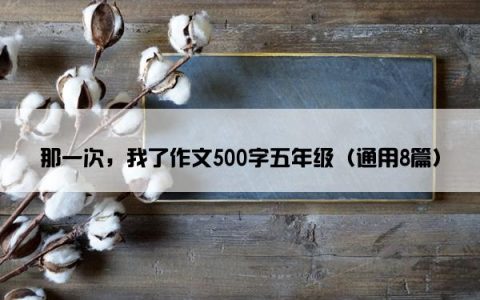 那一次，我了作文500字五年级（通用8篇）