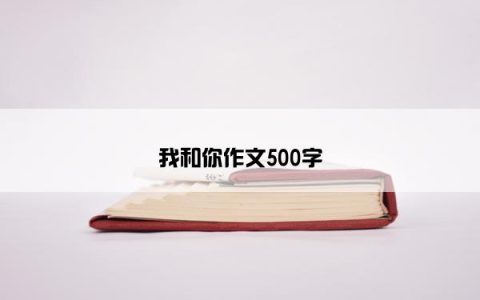 我和你作文500字
