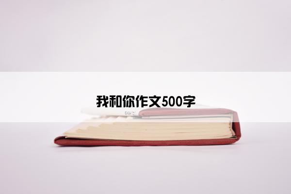 我和你作文500字