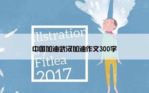 中国加油武汉加油作文300字
