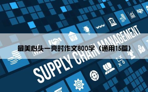 最美心头一亮时作文800字（通用15篇）