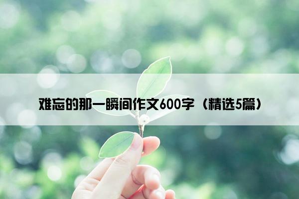 难忘的那一瞬间作文600字（精选5篇）