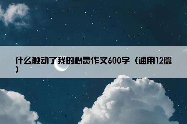 什么触动了我的心灵作文600字（通用12篇）