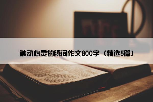 触动心灵的瞬间作文800字（精选5篇）