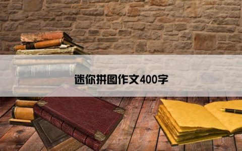 迷你拼图作文400字